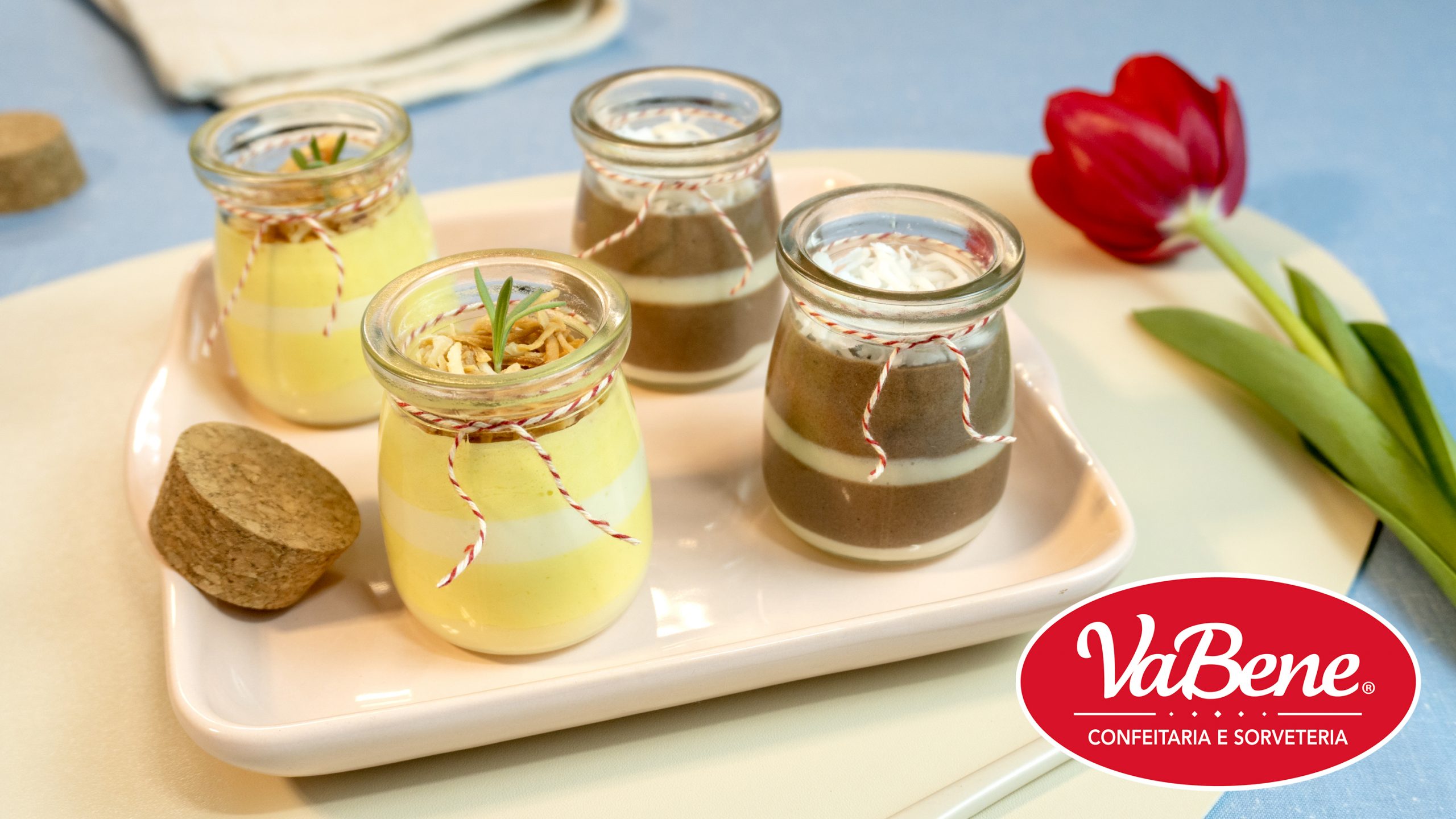 Receita Seleção Mousses Receituário Saborizantes em Pó VaBene